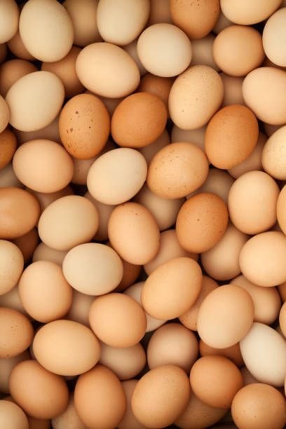Chicken Eggs