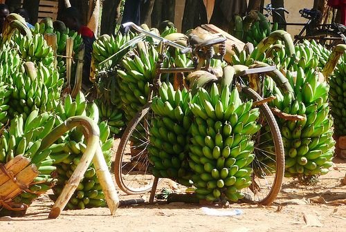 Bananas (Matoke)