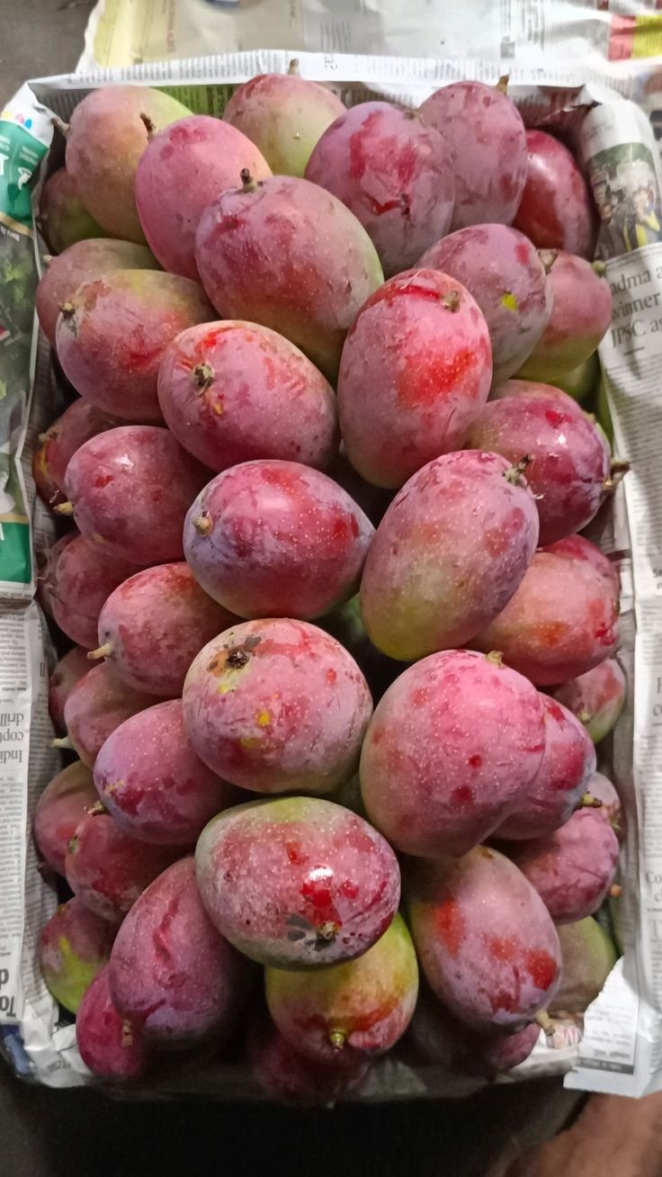 Mangoes