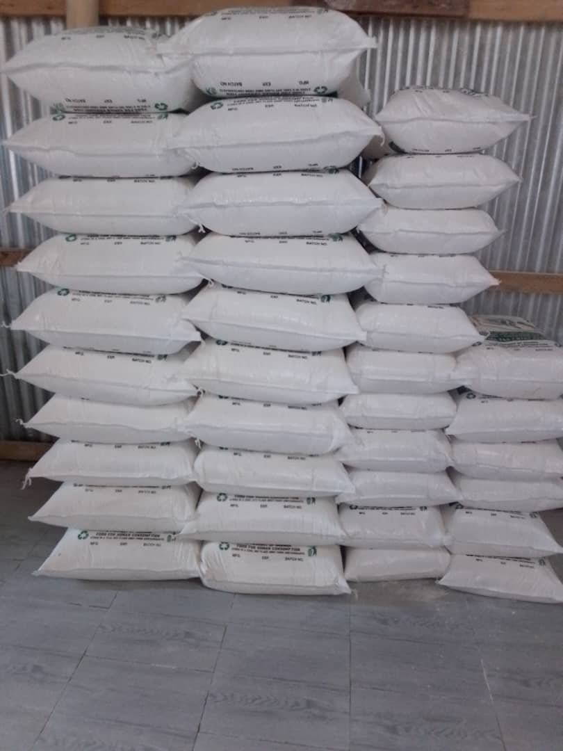 Maize Seeds