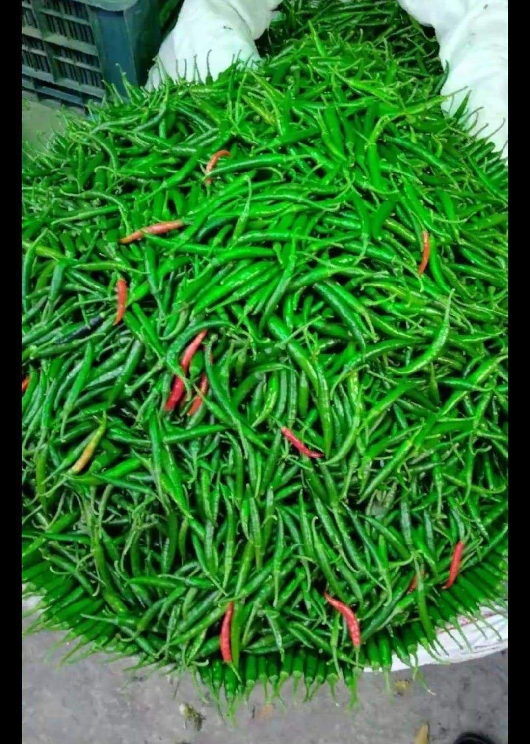 Chili Peppers